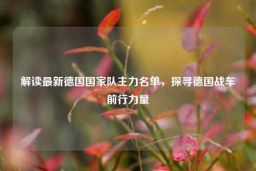 解读最新德国国家队主力名单,探寻德国战车前行力量