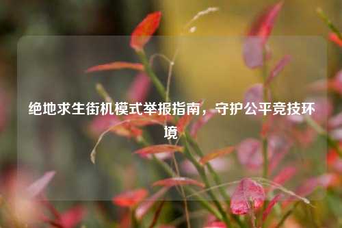 绝地求生街机模式举报指南,守护公平竞技环境