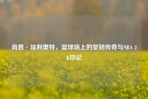 肖恩·埃利奥特,篮球场上的坚韧传奇与NBA 2K印记