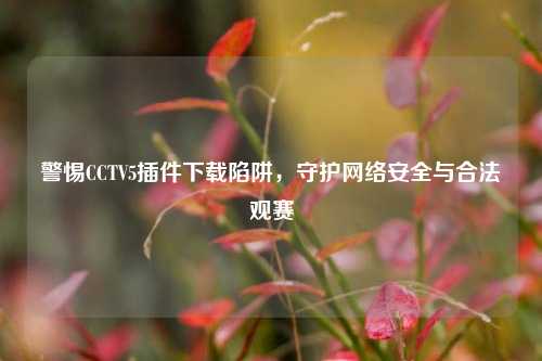 警惕CCTV5插件下载陷阱,守护网络安全与合法观赛