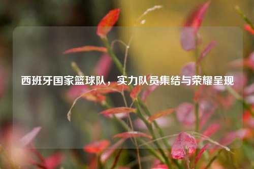 西班牙国家篮球队,实力队员集结与荣耀呈现