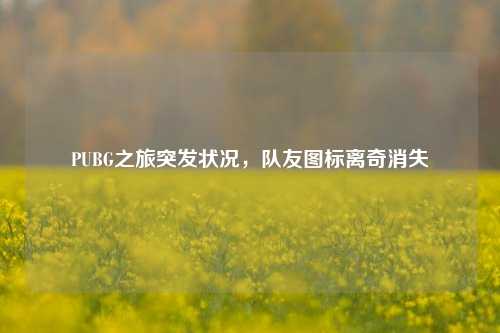 PUBG之旅突发状况,队友图标离奇消失