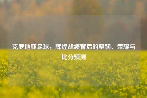 克罗地亚足球,辉煌战绩背后的坚韧、荣耀与比分预测