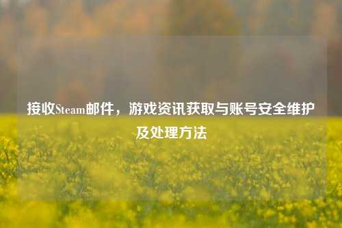 接收Steam邮件,游戏资讯获取与账号安全维护及处理方法