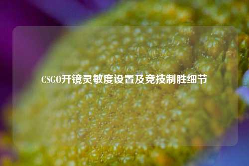CSGO开镜灵敏度设置及竞技制胜细节