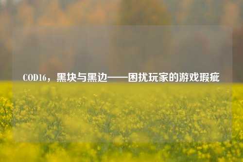 COD16,黑块与黑边——困扰玩家的游戏瑕疵
