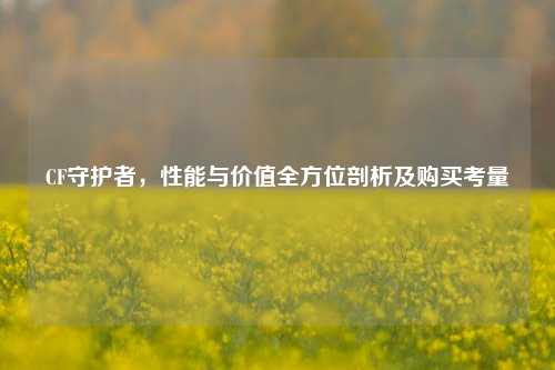 CF守护者,性能与价值全方位剖析及购买考量