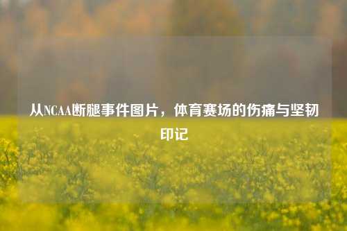 从NCAA断腿事件图片,体育赛场的伤痛与坚韧印记