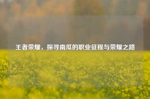 王者荣耀,探寻南瓜的职业征程与荣耀之路