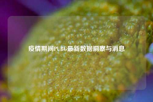 疫情期间PUBG最新数据洞察与消息