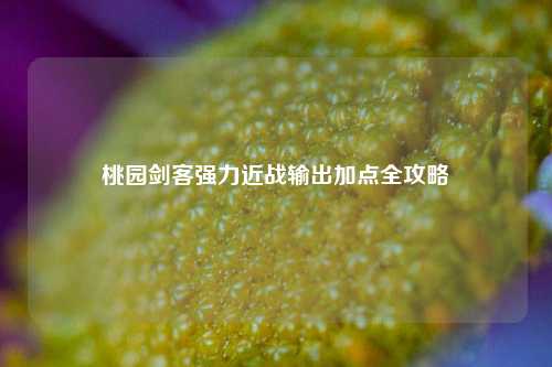桃园剑客强力近战输出加点全攻略