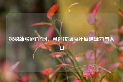 探秘韩服DNF官网，寻阿拉德原汁原味魅力与入口