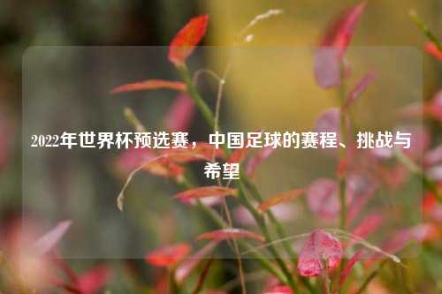2022年世界杯预选赛,中国足球的赛程、挑战与希望