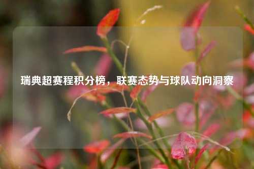 瑞典超赛程积分榜,联赛态势与球队动向洞察