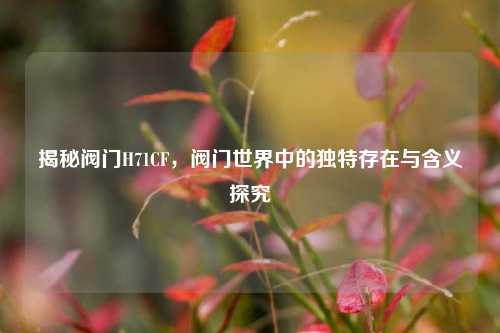 揭秘阀门H71CF,阀门世界中的独特存在与含义探究