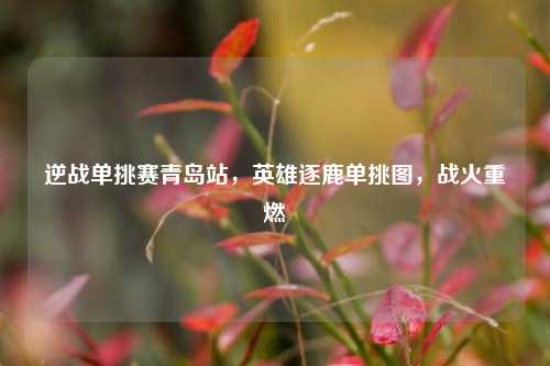 逆战单挑赛青岛站，英雄逐鹿单挑图，战火重燃