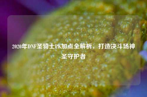 2020年DNF圣骑士PK加点全解析，打造决斗场神圣守护者