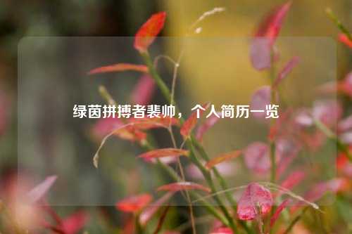 绿茵拼搏者裴帅,个人简历一览