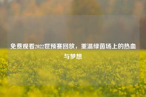 免费观看2022世预赛回放,重温绿茵场上的热血与梦想