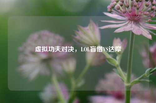 虚拟功夫对决,LOL盲僧VS达摩