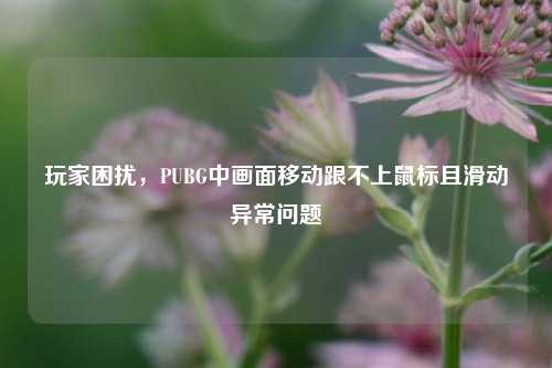 玩家困扰,PUBG中画面移动跟不上鼠标且滑动异常问题