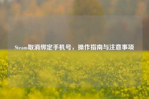 Steam取消绑定手机号,操作指南与注意事项