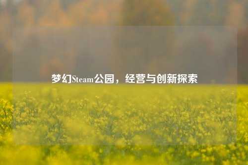 梦幻Steam公园,经营与创新探索