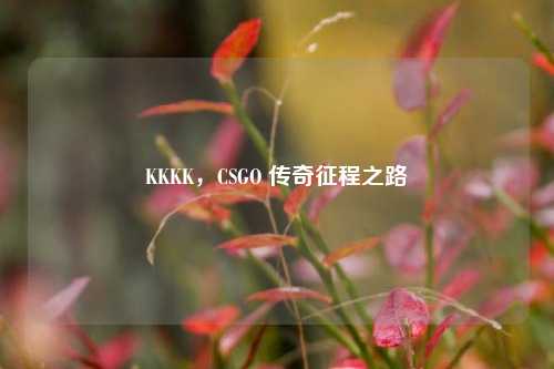 KKKK，CSGO 传奇征程之路