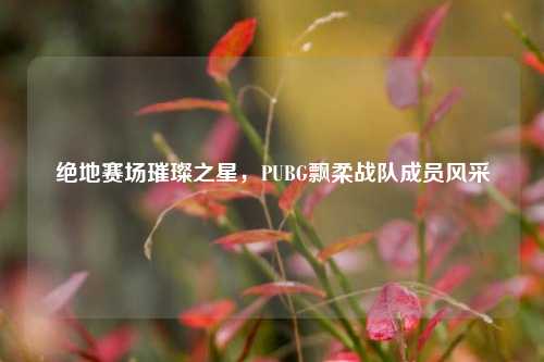 绝地赛场璀璨之星,PUBG飘柔战队成员风采