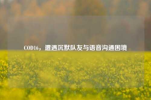 COD16，遭遇沉默队友与语音沟通困境
