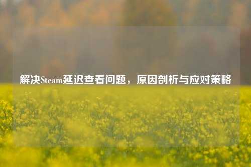 解决Steam延迟查看问题,原因剖析与应对策略