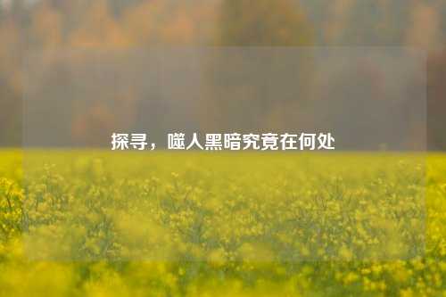 探寻,噬人黑暗究竟在何处