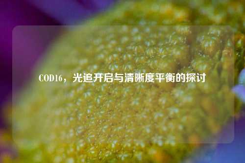 COD16，光追开启与清晰度平衡的探讨