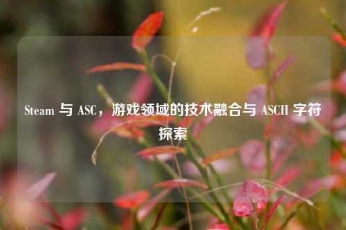 Steam 与 ASC,游戏领域的技术融合与 ASCII 字符探索