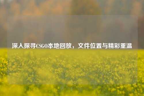 深入探寻CSGO本地回放,文件位置与精彩重温