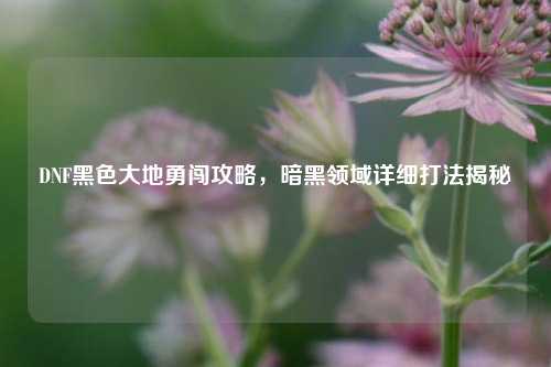 DNF黑色大地勇闯攻略，暗黑领域详细打法揭秘
