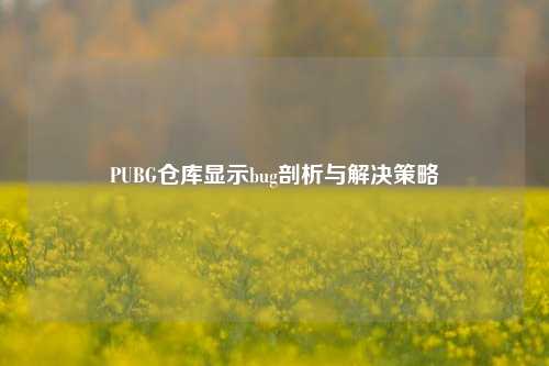 PUBG仓库显示bug剖析与解决策略