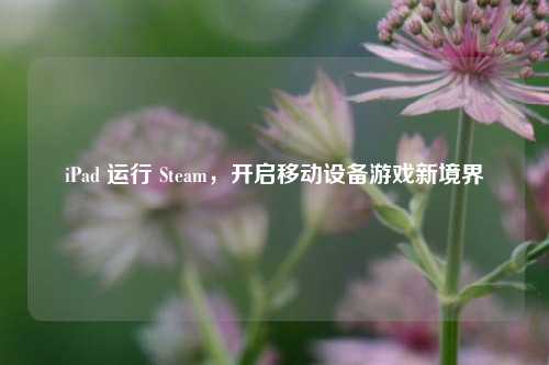 iPad 运行 Steam,开启移动设备游戏新境界