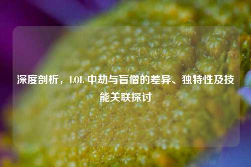 深度剖析,LOL 中劫与盲僧的差异、独特性及技能关联探讨