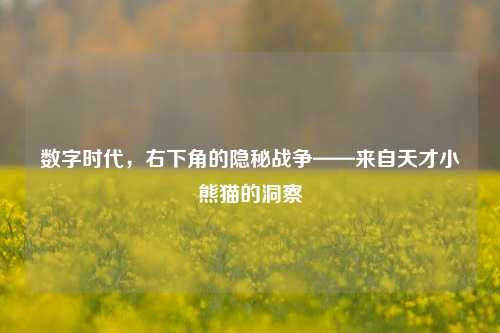 数字时代,右下角的隐秘战争——来自天才小熊猫的洞察