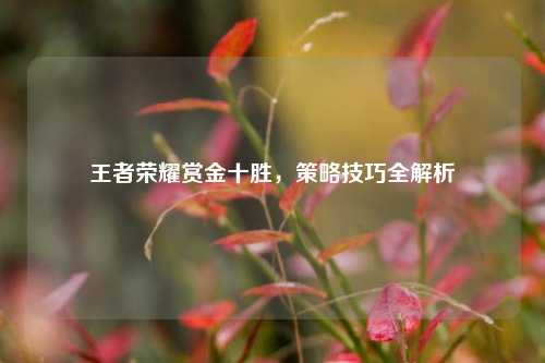 王者荣耀赏金十胜,策略技巧全解析