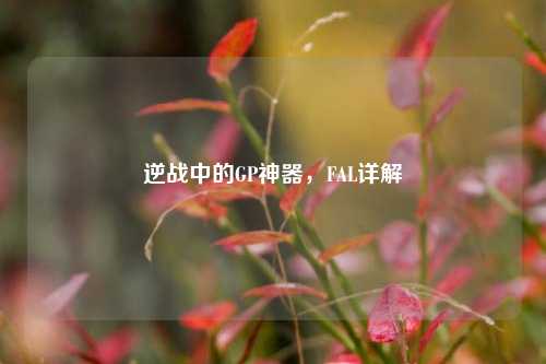 逆战中的GP神器,FAL详解