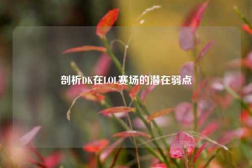 剖析DK在LOL赛场的潜在弱点