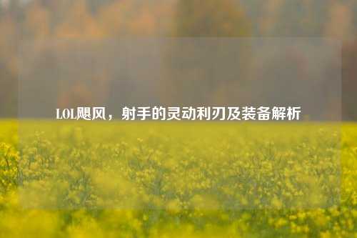 LOL飓风,射手的灵动利刃及装备解析