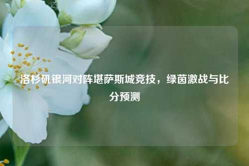 洛杉矶银河对阵堪萨斯城竞技,绿茵激战与比分预测