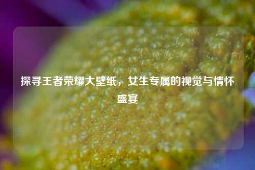 探寻王者荣耀大壁纸，女生专属的视觉与情怀盛宴