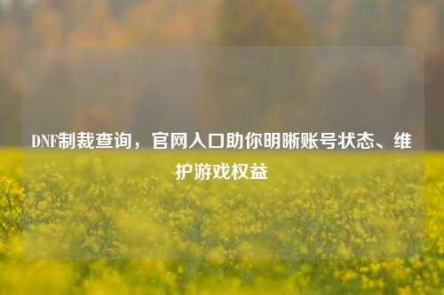 DNF制裁查询,官网入口助你明晰账号状态、维护游戏权益