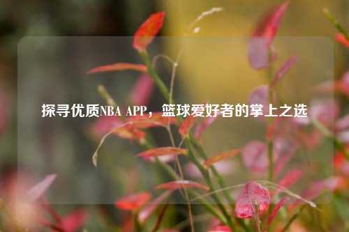 探寻优质NBA APP,篮球爱好者的掌上之选