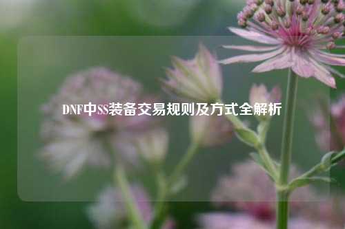 DNF中SS装备交易规则及方式全解析