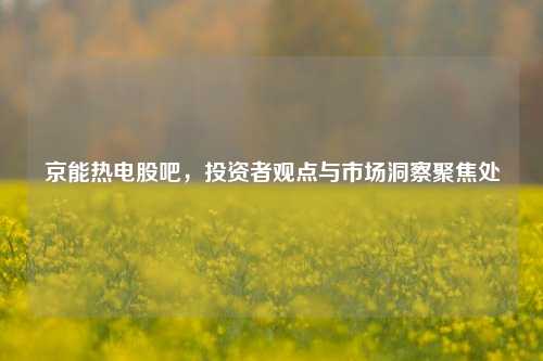 京能热电股吧,投资者观点与市场洞察聚焦处